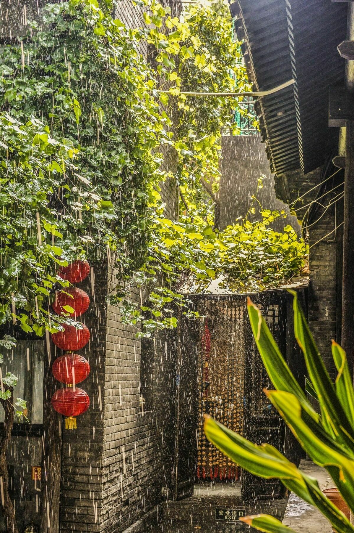 Hill Lily Courtyard Hotell Beijing Eksteriør bilde